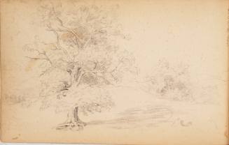Sketchbook: Marbletown, Catskills, Lake George