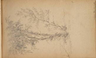 Sketchbook: Marbletown, Catskills, Lake George