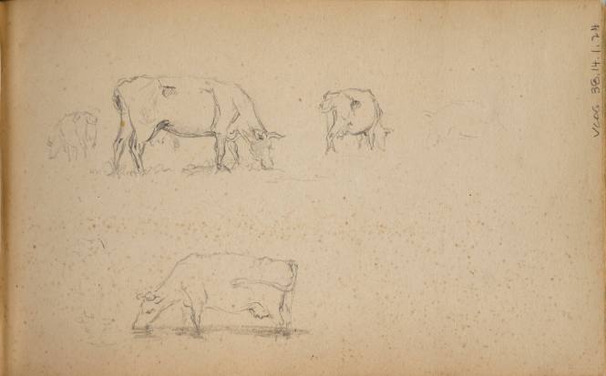 Sketchbook: Marbletown, Catskills, Lake George