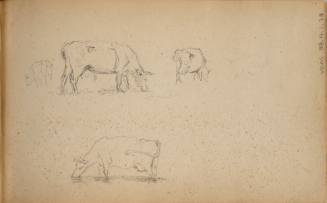 Sketchbook: Marbletown, Catskills, Lake George