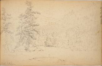 July 20th Lake George, from the sketchbook inscribed 1847-48, Marbletown, Catskills & Lake George