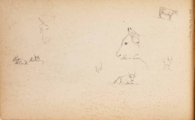 Sketchbook: Marbletown, Catskills, Lake George