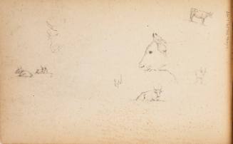 Sketchbook: Marbletown, Catskills, Lake George