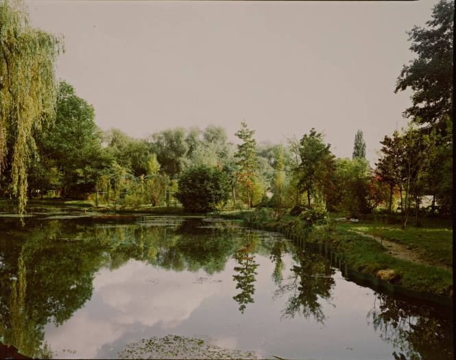 Stephen Shore