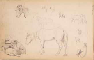 Sketchbook: Marbletown, Catskills, Lake George