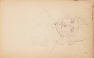 Sketchbook: Marbletown, Catskills, Lake George