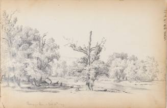 Sketchbook: 1849-50. Delaware and Sus(quehana), White Mountains