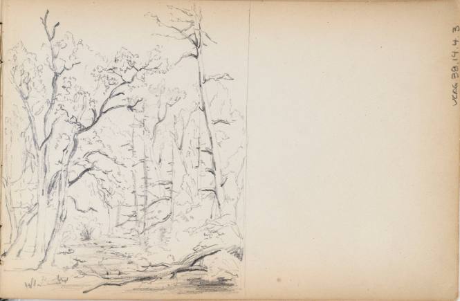 Sketchbook: 1849-50. Delaware and Sus(quehana), White Mountains