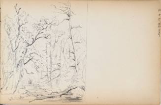 Sketchbook: 1849-50. Delaware and Sus(quehana), White Mountains