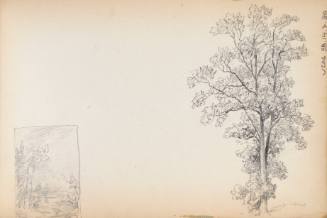 Sketchbook: 1849-50. Delaware and Sus(quehana), White Mountains