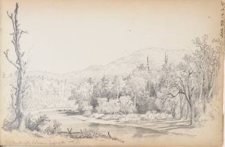 Sketchbook: 1849-50. Delaware and Sus(quehana), White Mountains