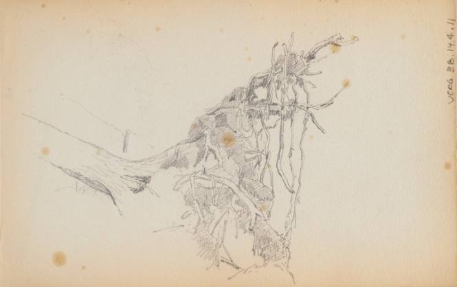 Sketchbook: New Hampshire, N.Y.