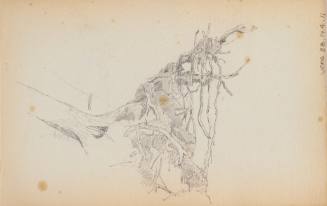 Sketchbook: New Hampshire, N.Y.
