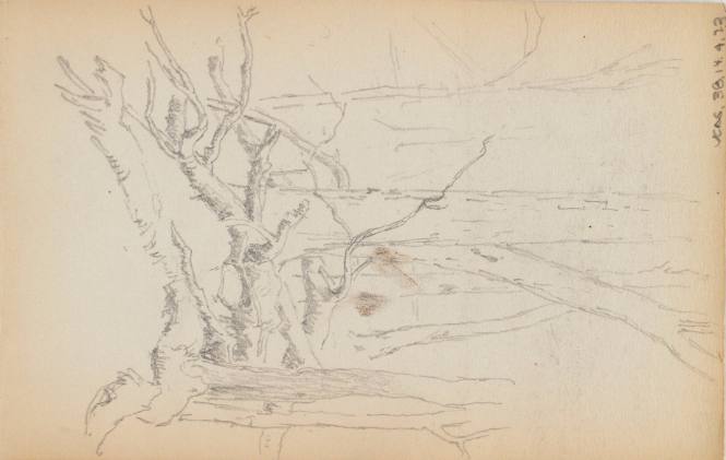Sketchbook: New Hampshire, N.Y.