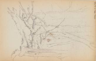 Sketchbook: New Hampshire, N.Y.