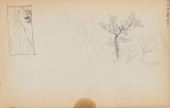 Sketchbook: New Hampshire, N.Y.
