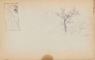 Sketchbook: New Hampshire, N.Y.