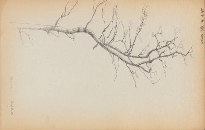 Sketchbook: New Hampshire, N.Y.