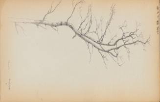Sketchbook: New Hampshire, N.Y.