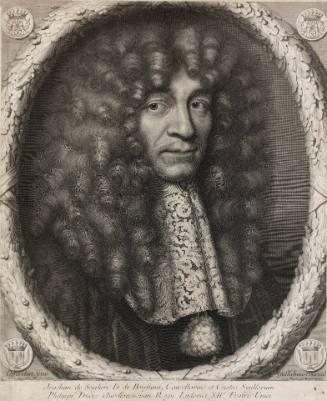 Pierre Louis van Schuppen