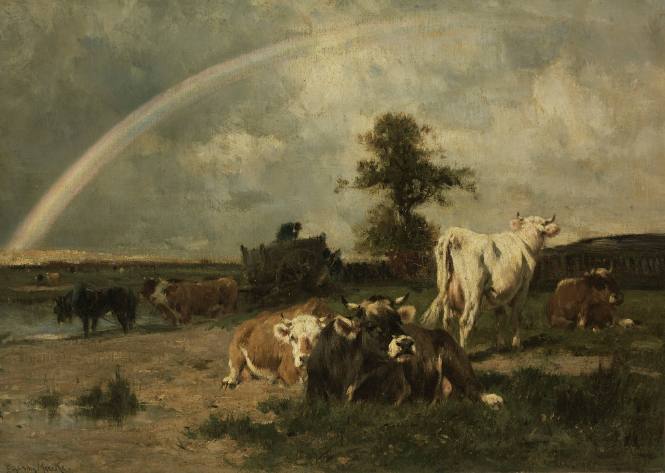 The Rainbow