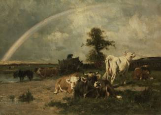 The Rainbow