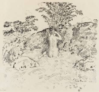 Wild Cherry Tree