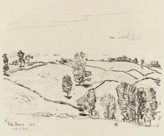 Stone Fences
