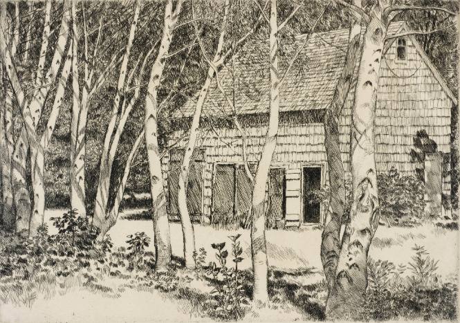 The Old Barn and the Birches