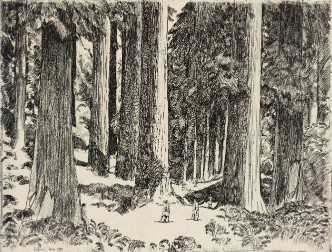 Giants and Pygmies