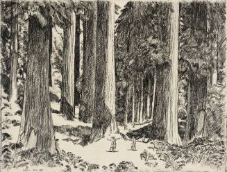 Giants and Pygmies
