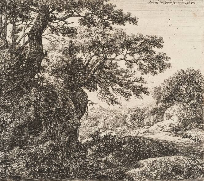 Man sleeping beside the Road