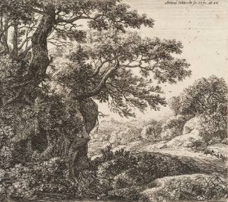 Man sleeping beside the Road