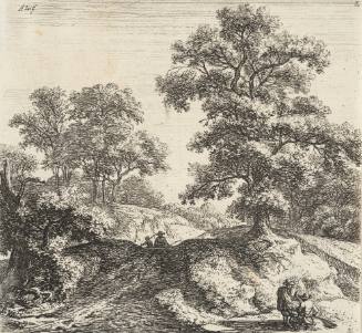 Path by a Large Oak