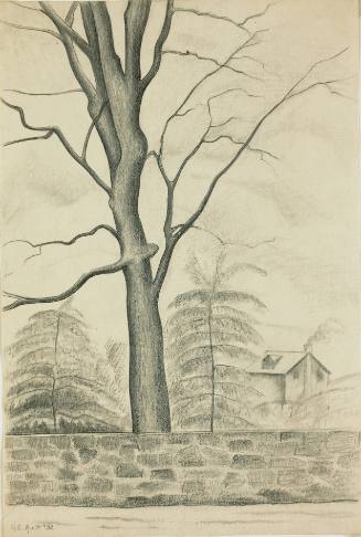 Tree and Stonewall