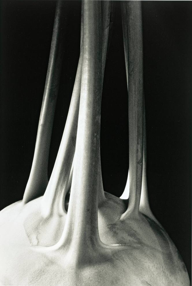 Kohlrabi (from the Closely Observed series)