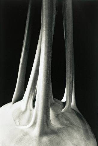 Kohlrabi (from the Closely Observed series)