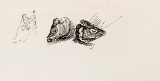 Fish Heads