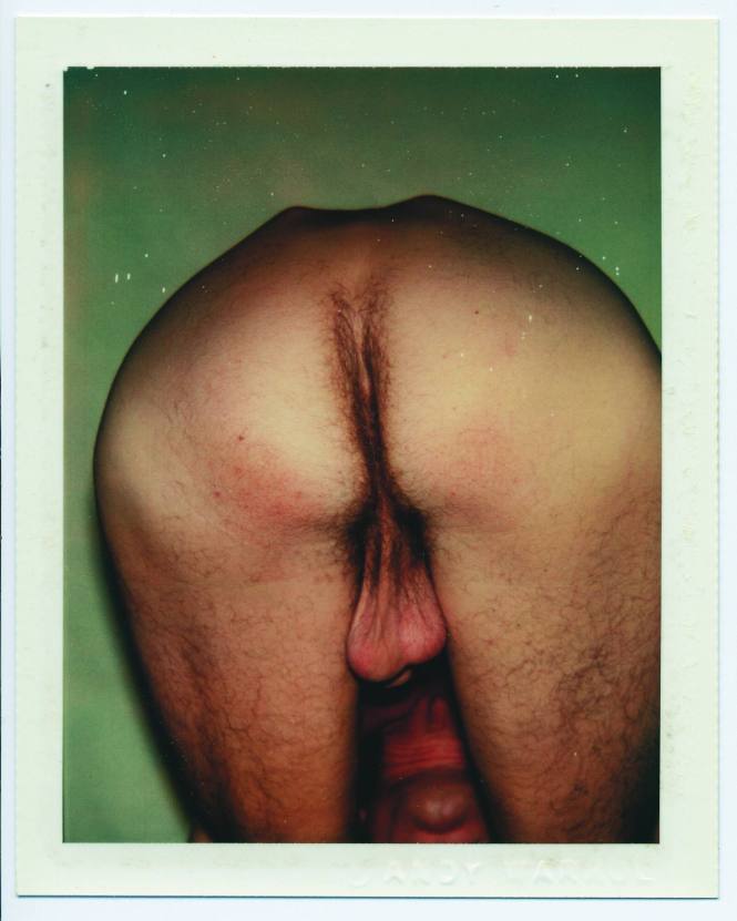 Nude Model (Male)