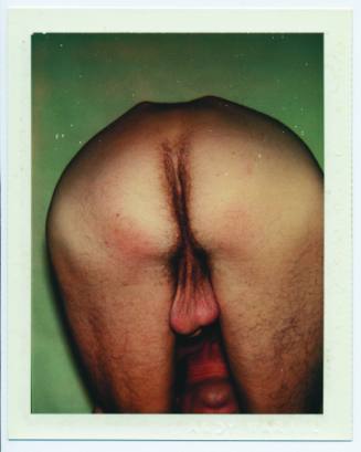 Nude Model (Male)