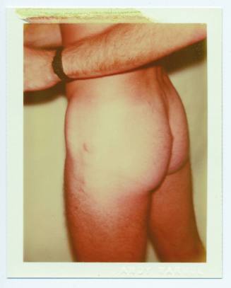 Nude Model (Male)