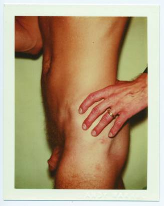 Nude Model (Male)
