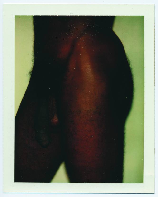 Nude Model (Male)