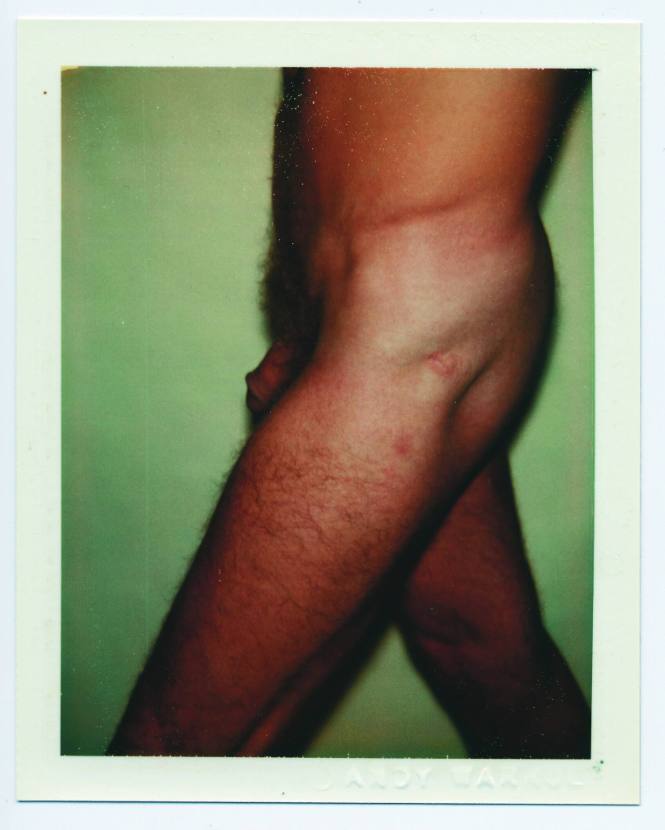 Nude Model (Male)