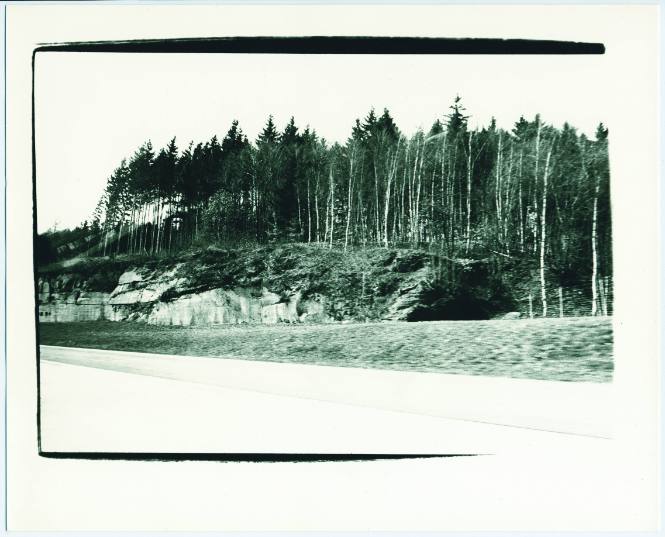 View out of car window at trees, near Basel