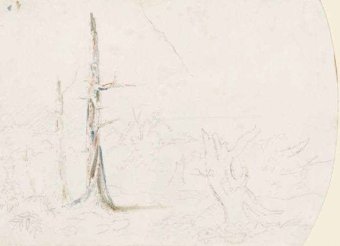 Landscape Sketch