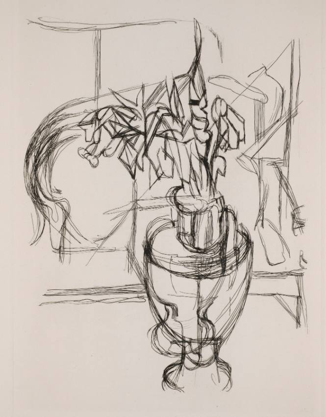 Still Life