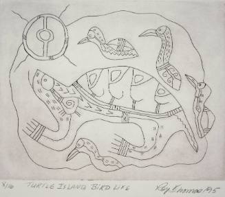 Turtle Island/Bird Life