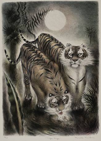 Tiger Tiger
