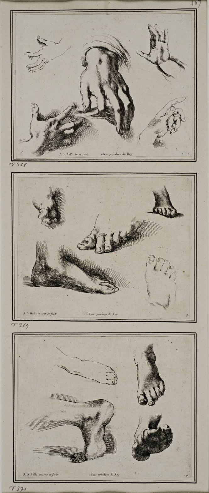 Studies of hands and feet